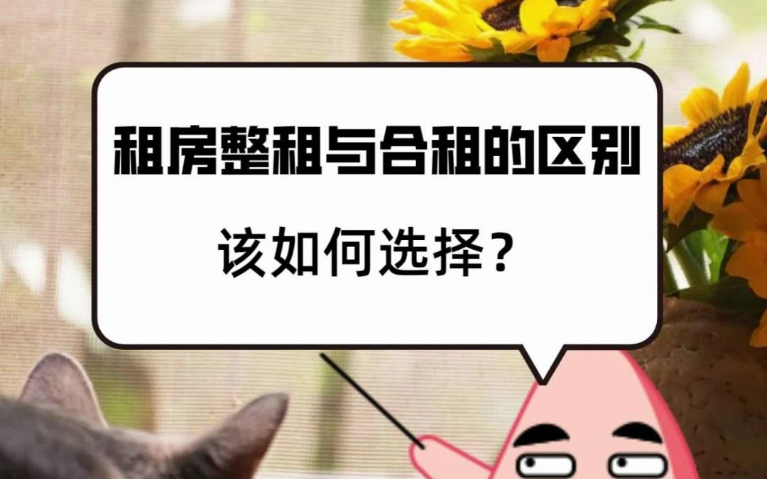 租房整租与合租的区别,该如何选择?哔哩哔哩bilibili