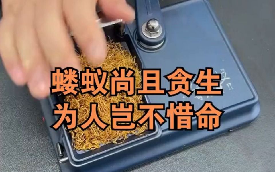 蝼蚁尚且偷生,为人岂不惜命