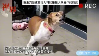 狗子走丢一段时间，回来后出现这种怪状，医生说是狂犬病发作前兆