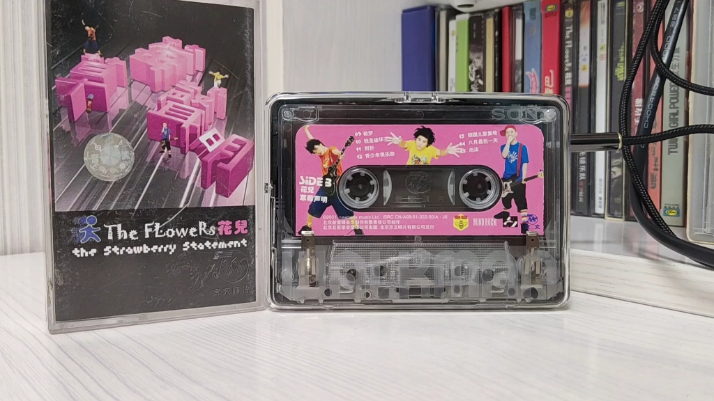 花儿乐队《泡沫》