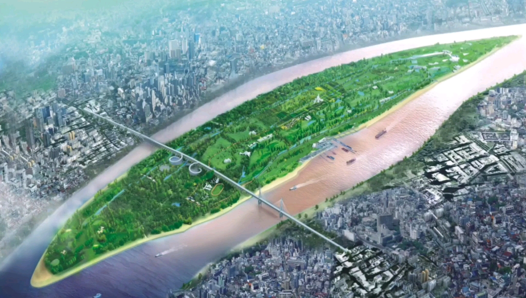 长江最大的江心洲一片泽国,罕见程度创历年之最.