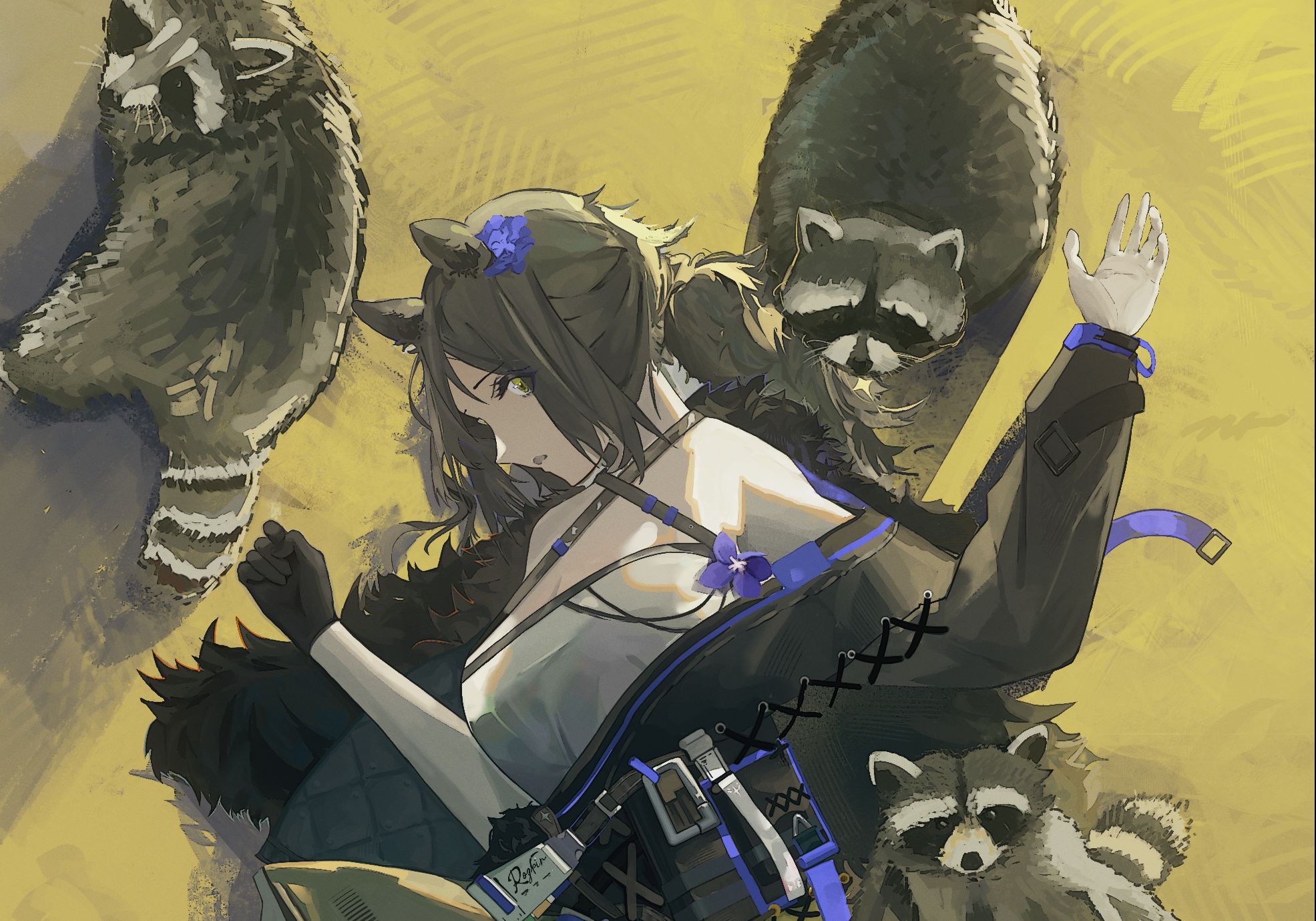 【明日方舟】【罗宾】小浣熊之梦