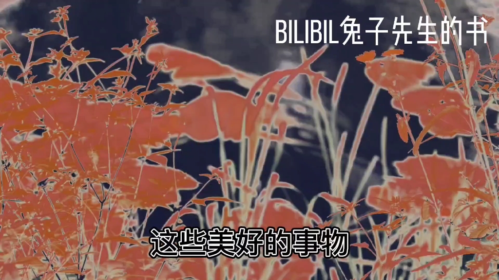 余秀华诗集:《月光落在左手上》哔哩哔哩bilibili