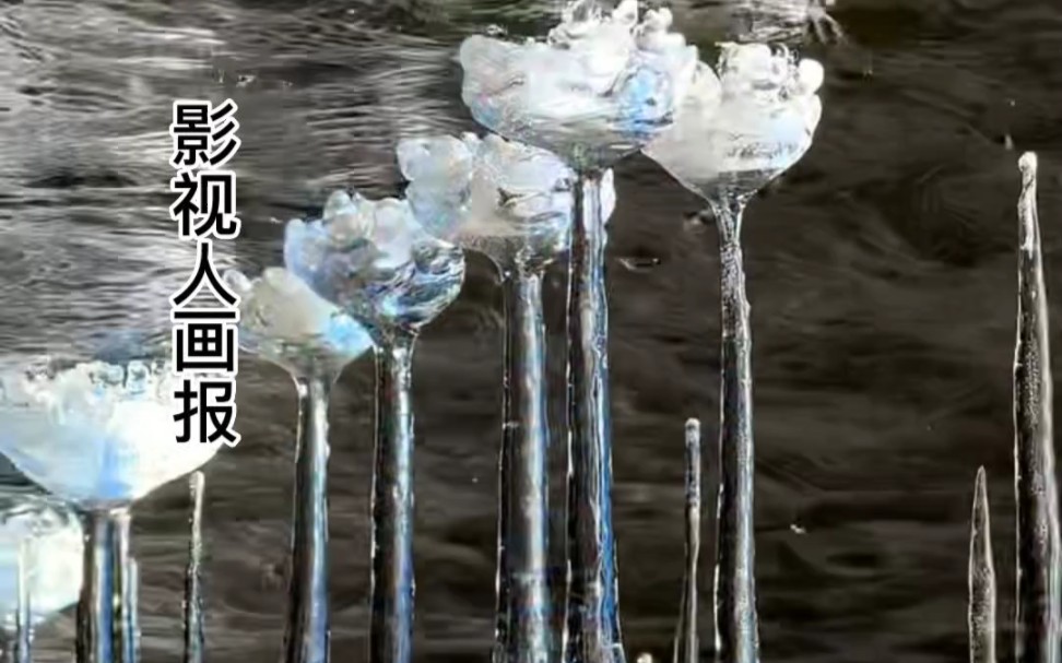 此生~此景~水下冰玫瑰~难得一见!哔哩哔哩bilibili