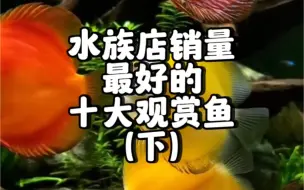 Tải video: 水族店销量最好的十大观赏鱼（下）