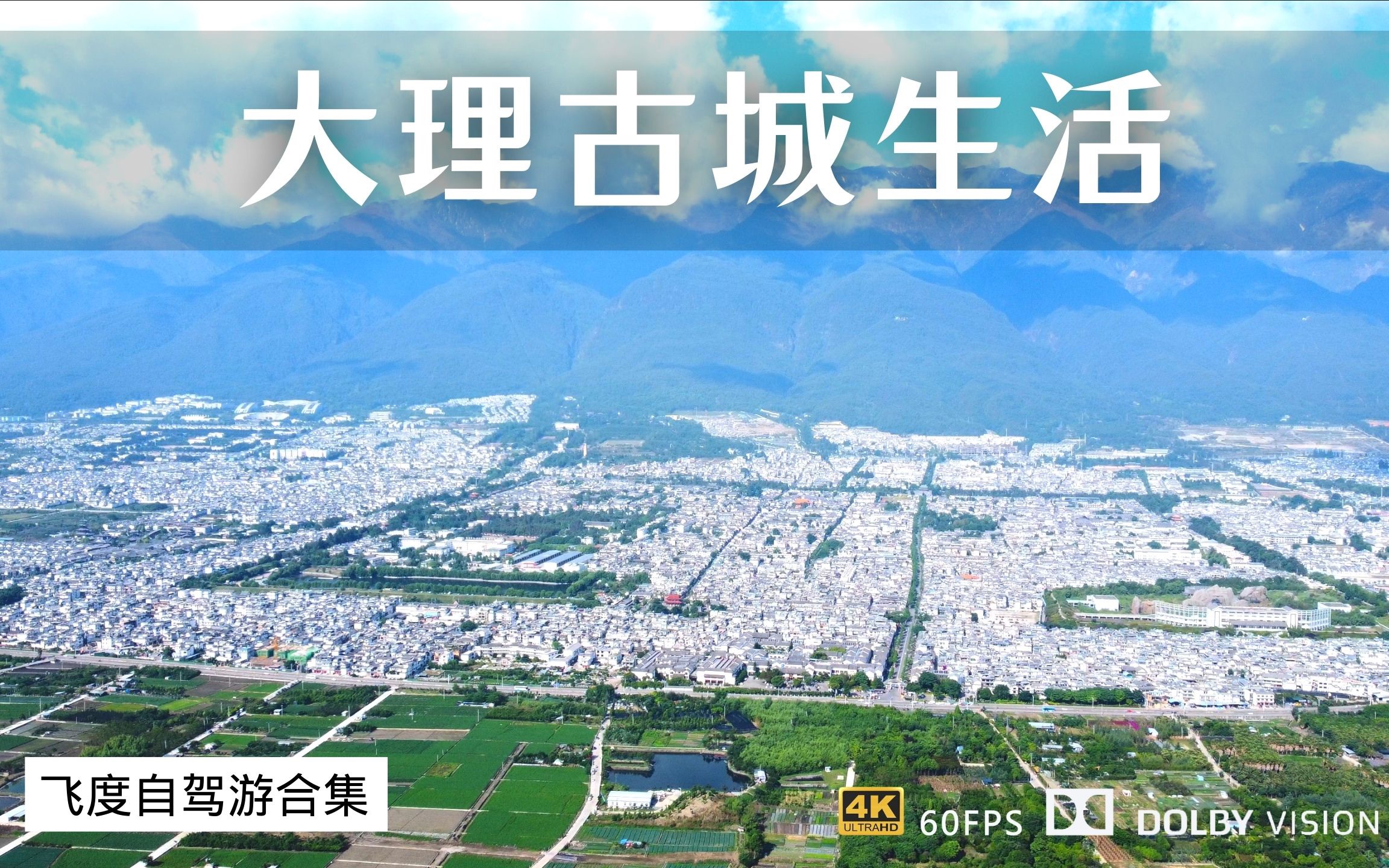 感受大理古城生活 为什么大家都喜欢来这躺平 一家4口旅居大理哔哩哔哩bilibili