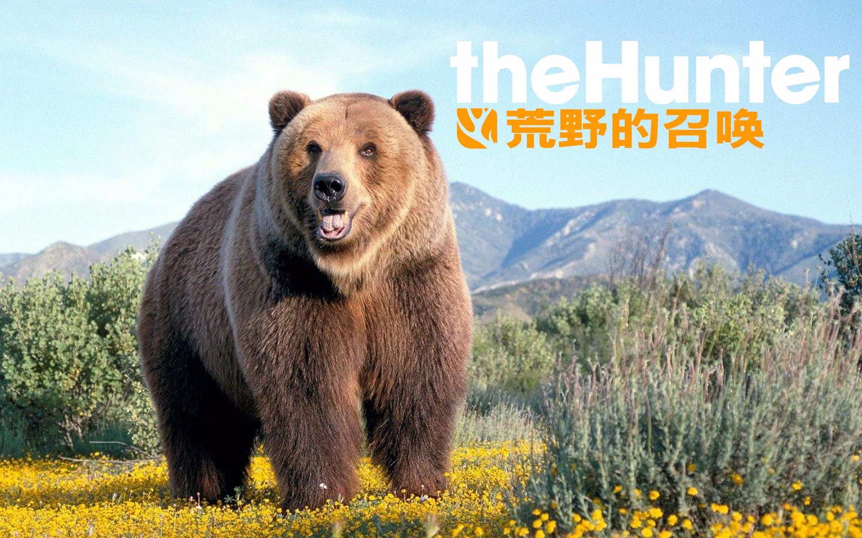 当你看到一头熊的时候