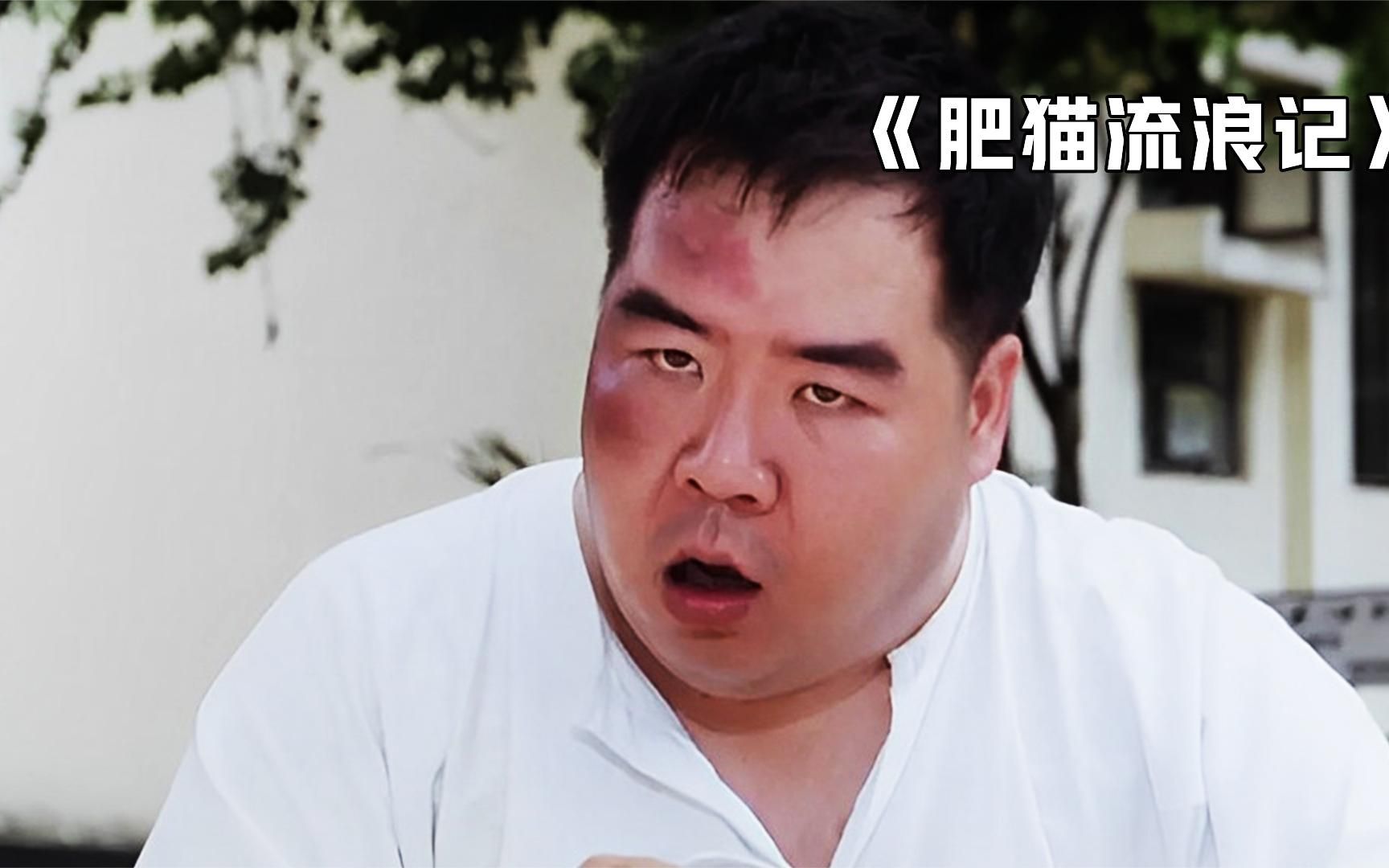 弱智肥猫被抛弃,流落街头跟一条狗抢饭吃,感动无数人的香港佳作