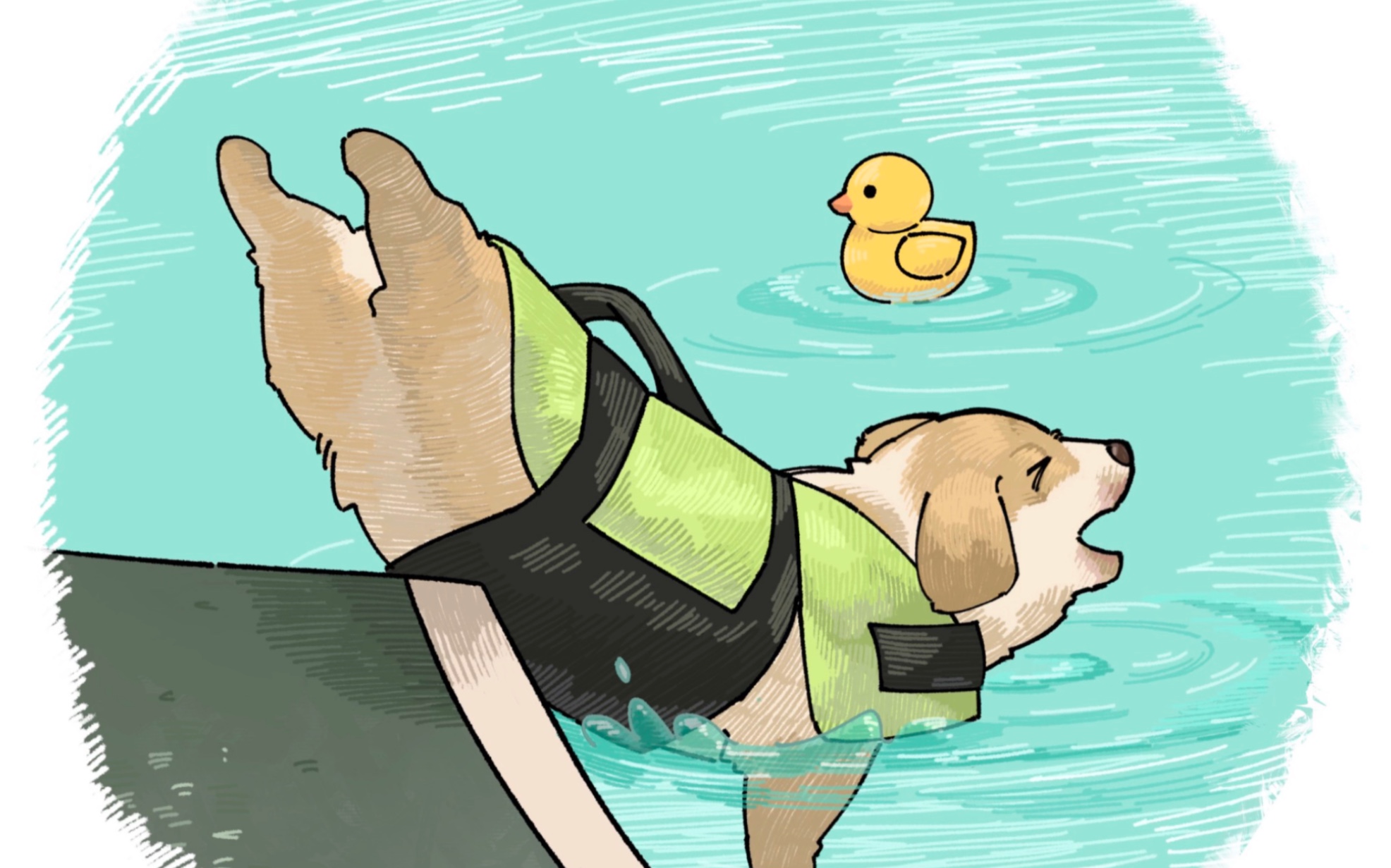 治愈系插画|狗狗也会喜欢游泳哇