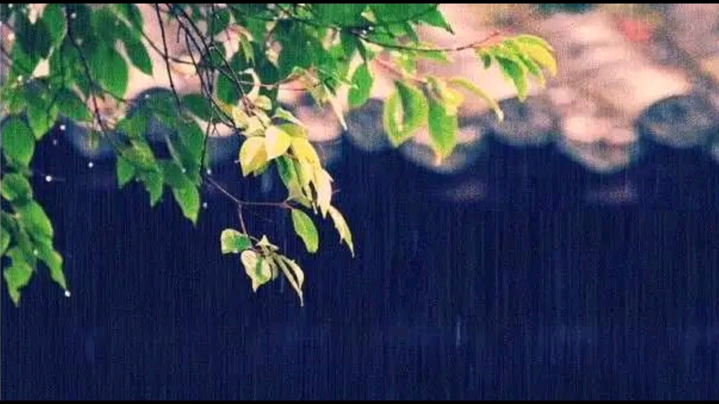 [图]【乐人吟诗：古体诗的入乐吟唱】《春雨》（细雨嫌春晚，连夜催枝发）