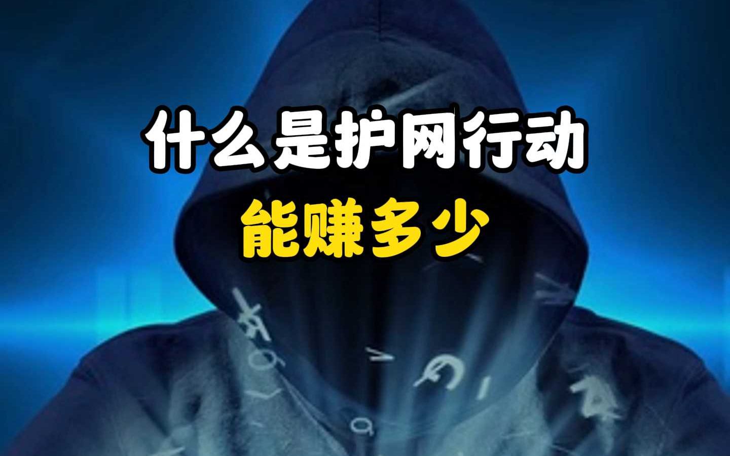 什么是护网行动,能赚多少?哔哩哔哩bilibili