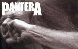 Download Video: Pantera -1992洛杉矶现场