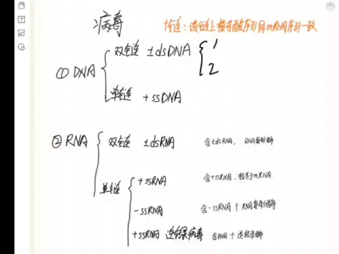 病毒的复制方式(dsDNA,+ssDNA,dsRNA,+ssRNA,ssRNA,逆转录病毒)哔哩哔哩bilibili