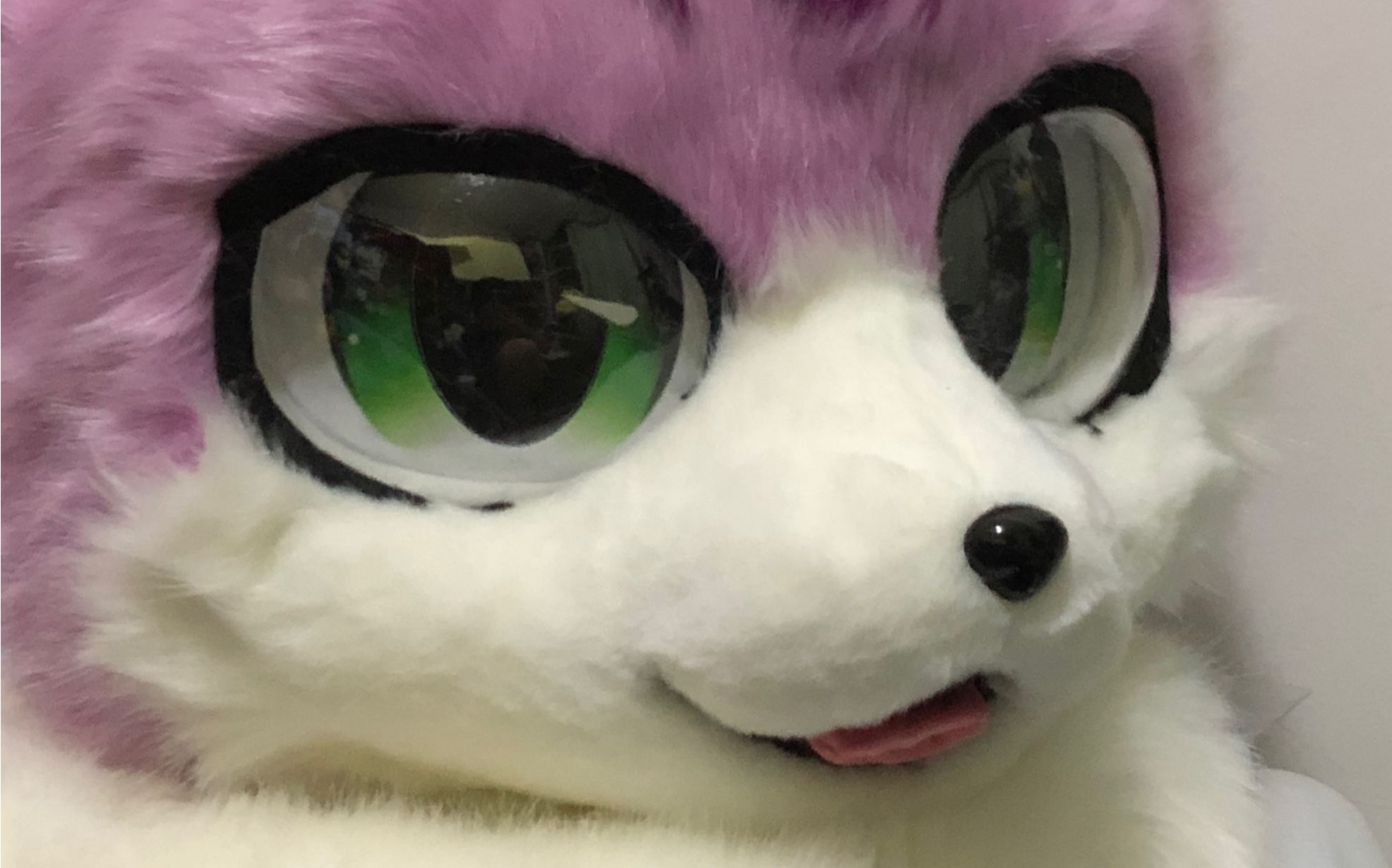 【兽装fursuit】一个半装加一个单头展示