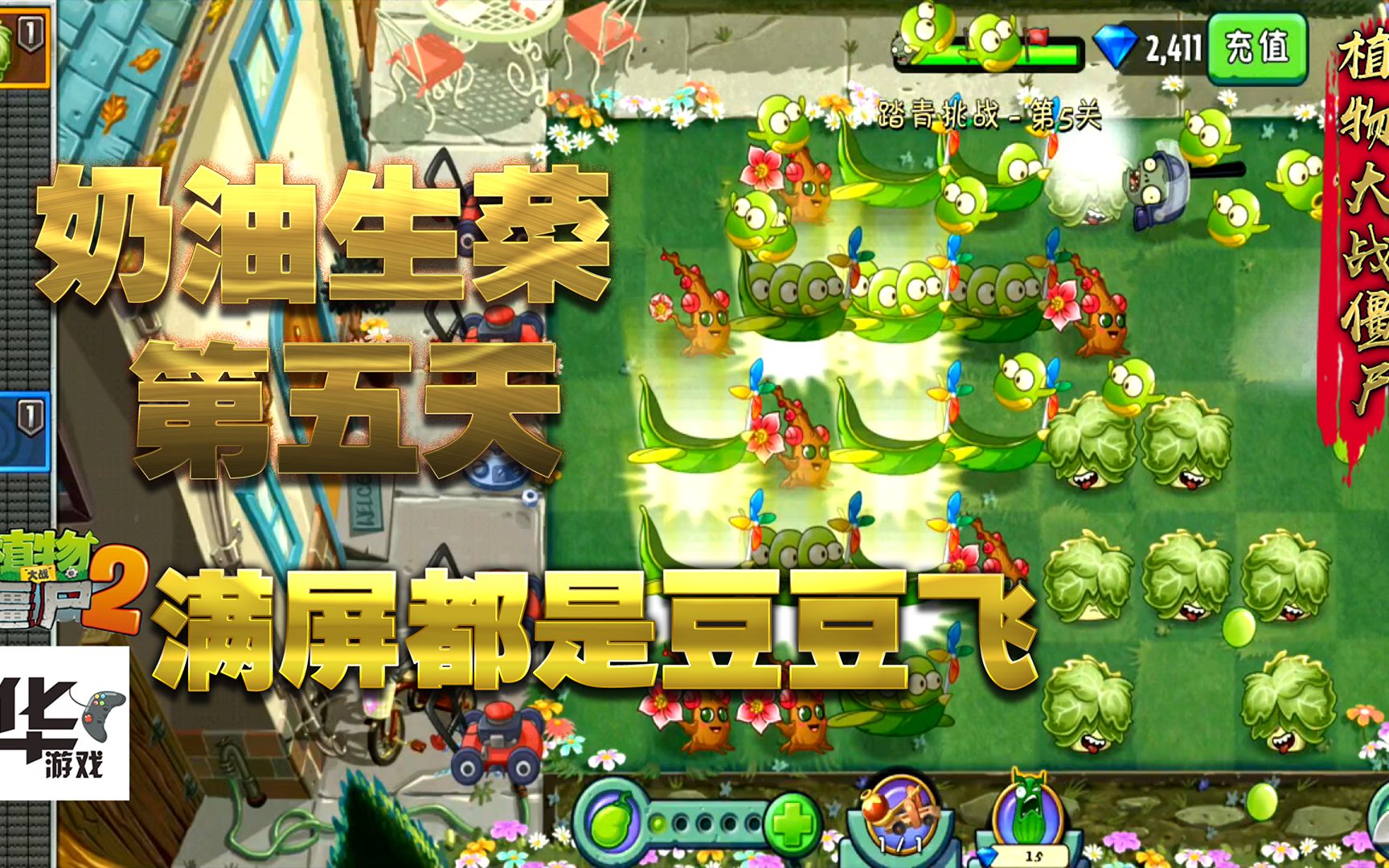 活動 pvz2中文版:踏青挑戰奶油生菜第五天 滿屏都是豆豆飛!