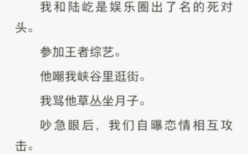 炸裂网爱哔哩哔哩bilibili