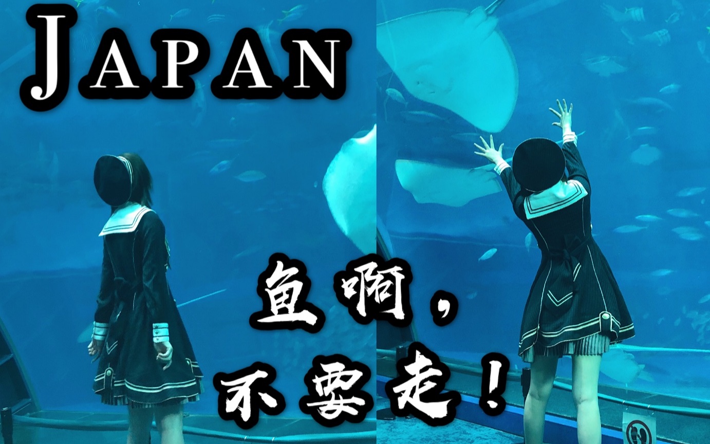 日本vlog绝美鲸鲨!冲绳美之海水族馆哔哩哔哩bilibili