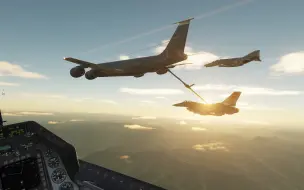 下载视频: [DCS]搞笑时刻+看完视频我想卸载DCS（2）