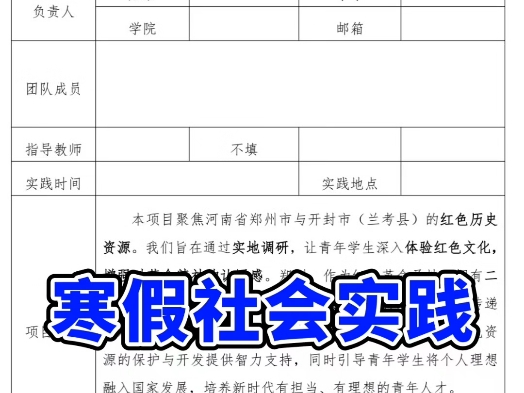 2025年寒假社会实践申报表撰写哔哩哔哩bilibili