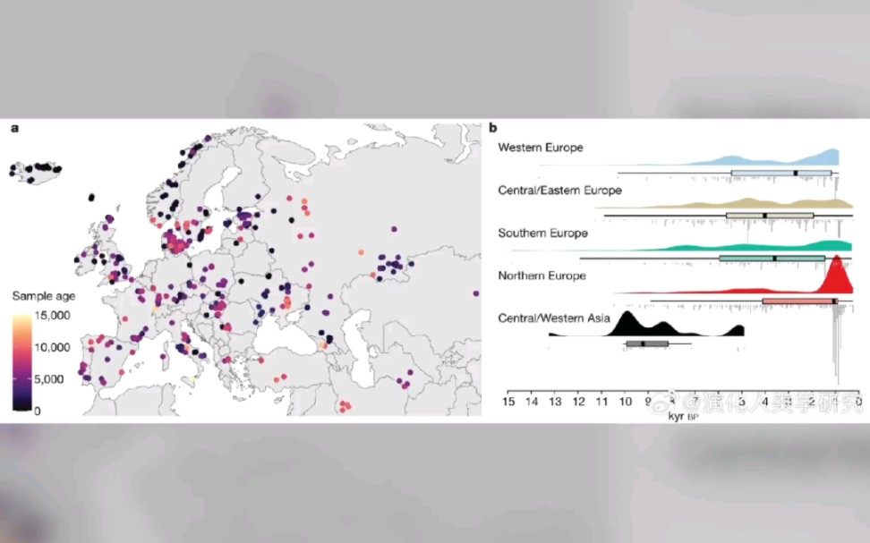 全新世以来欧洲人口构成(狩猎者、新石器时代农民、青铜时代牧民)与主要遗传学特征:哔哩哔哩bilibili