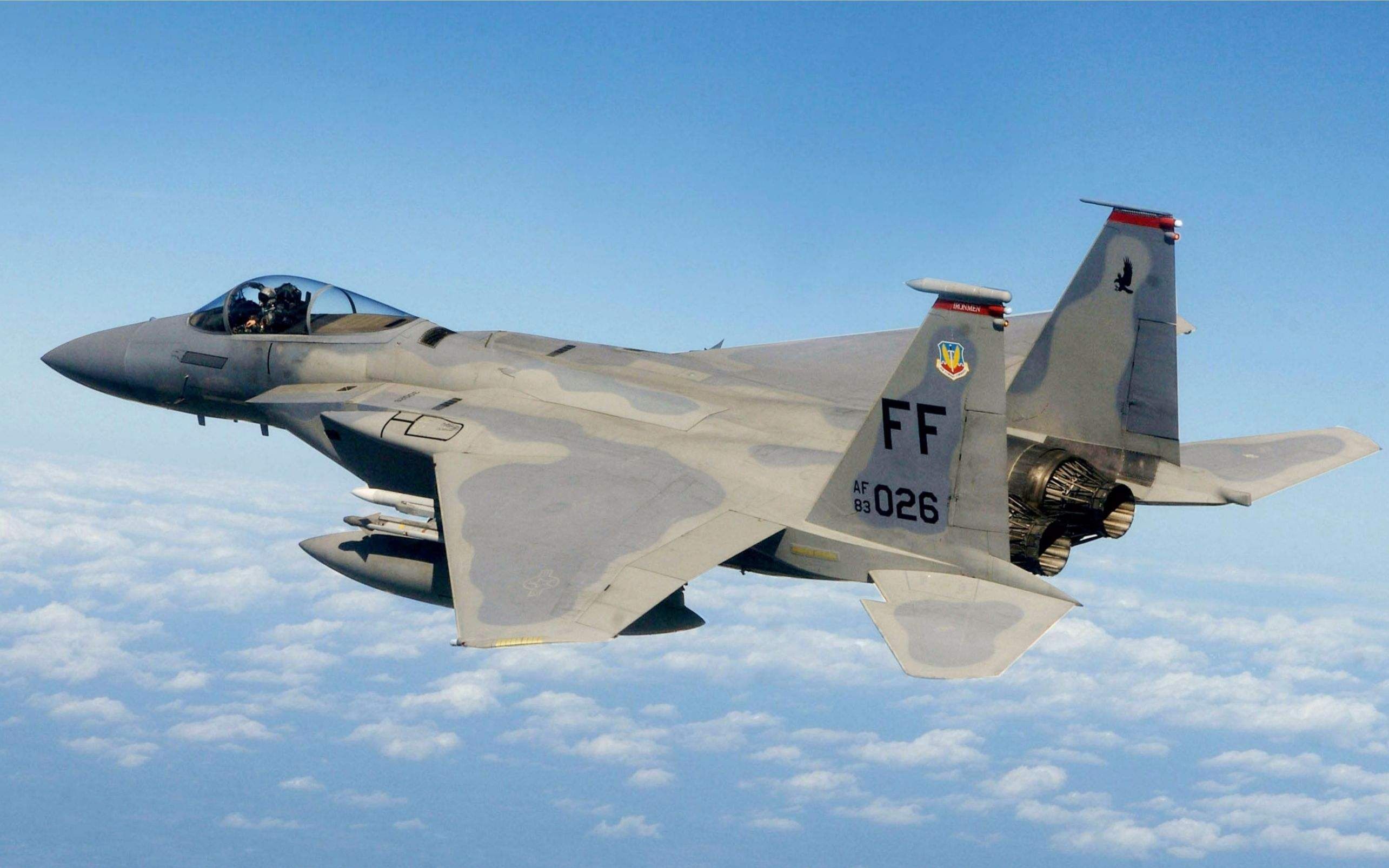 【one pass, one kill】 当你的f-15c格斗mig29s进入低速时.