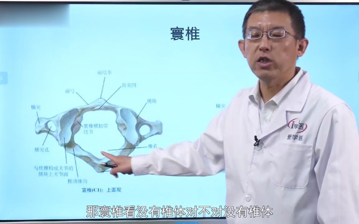 2.颈椎的骨骼解剖(下)哔哩哔哩bilibili