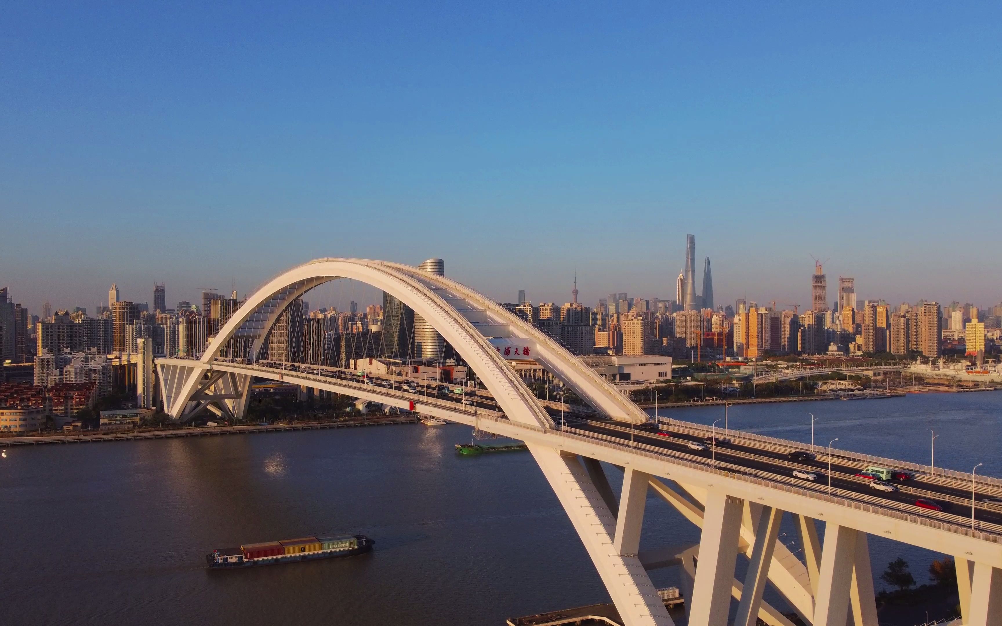 上海卢浦大桥简介图片