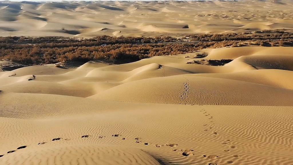 day4伊犁—天山—沙漠公路—新藏线—阿里环线—滇藏线—四川达州