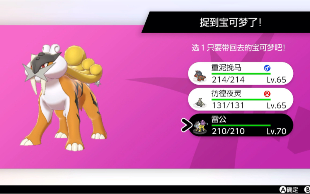 宝可梦剑盾欧气爆表极巨大冒险三把出闪光雷公