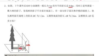 三角形相似测量物体的高度