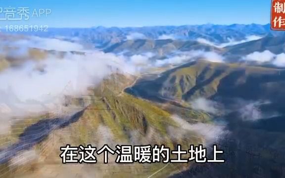 秦璐 中国声音 配音哔哩哔哩bilibili