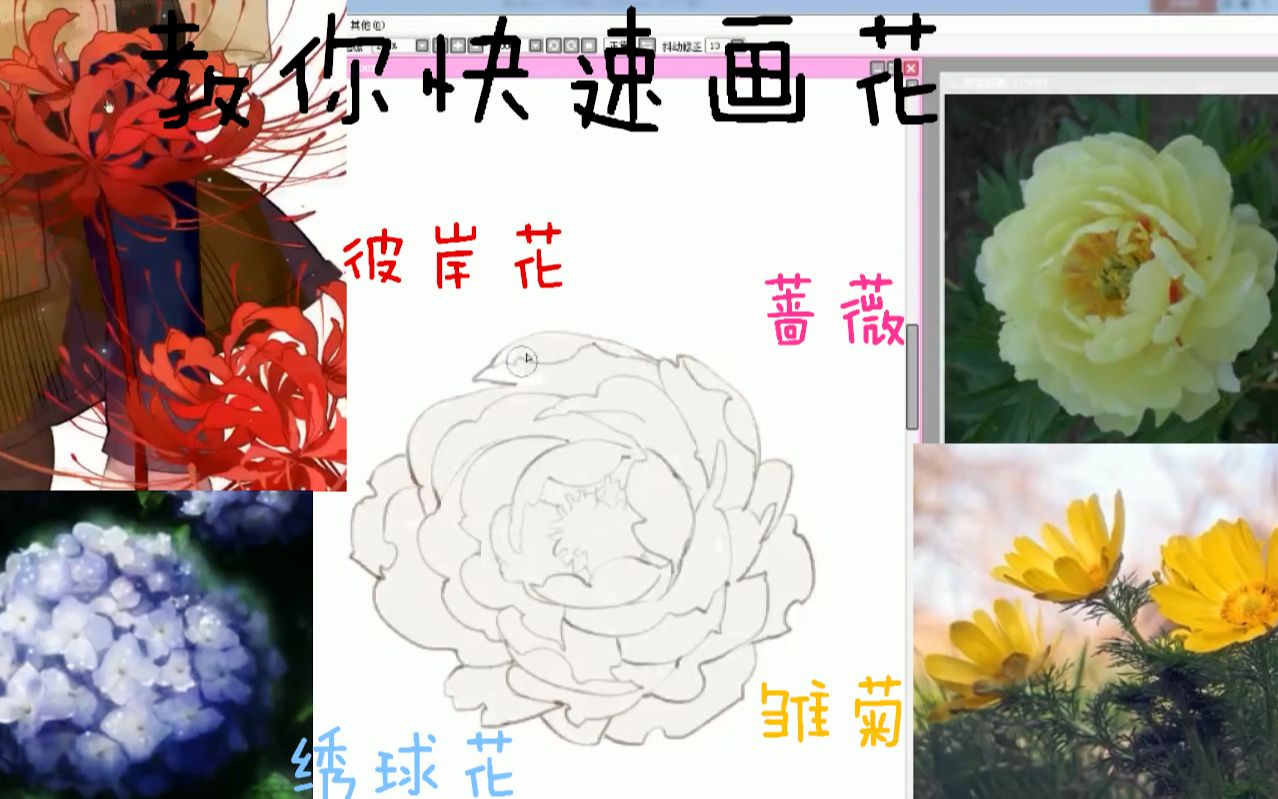 【动漫绘画常见花卉】好歹要学会这几种常见的小发发画法吧!雏菊/蔷薇/彼岸花/绣球花蓝铅笔快乐学画哔哩哔哩bilibili