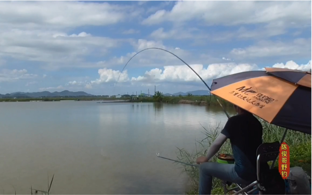 大物竿开光中大鳕鱼80块钱钓费直接回本了
