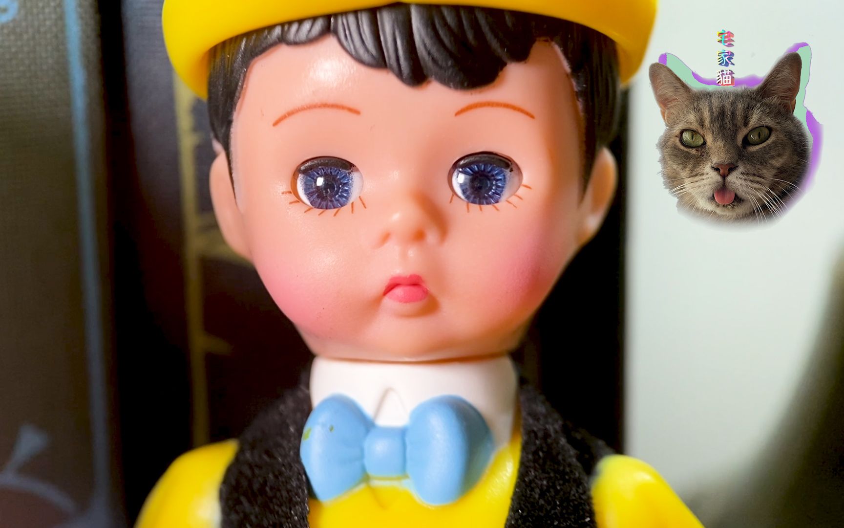 宅家猫 || 亚历山大麦当劳娃娃