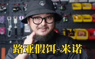 Video herunterladen: 今天带你了解路亚假饵-米诺！