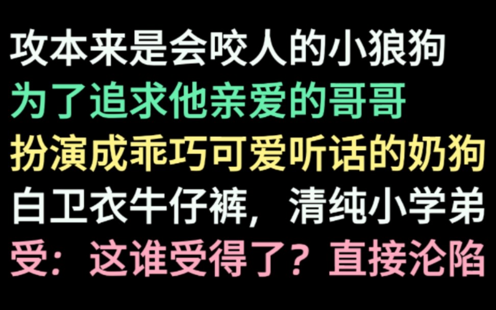 【夸克小说】占有欲强披着奶狗皮的小狼狗x感情迟钝的美人哥哥,13年前捡回家的小屁孩,长大后居然对他酱酱酿酿……哔哩哔哩bilibili