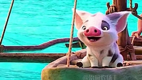 海洋奇缘 性感的小猪猪 在线卖萌 哔哩哔哩 つロ干杯 Bilibili 海洋奇缘 性感的小猪猪 在线卖萌 哔哩哔哩 つロ干杯 Bilibili