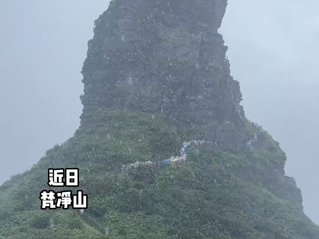 四字真言“来都来了”.贵州旅游梵净山突降大雨!一生要强的中国人哔哩哔哩bilibili