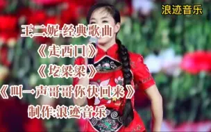 Download Video: 王二妮经典歌曲