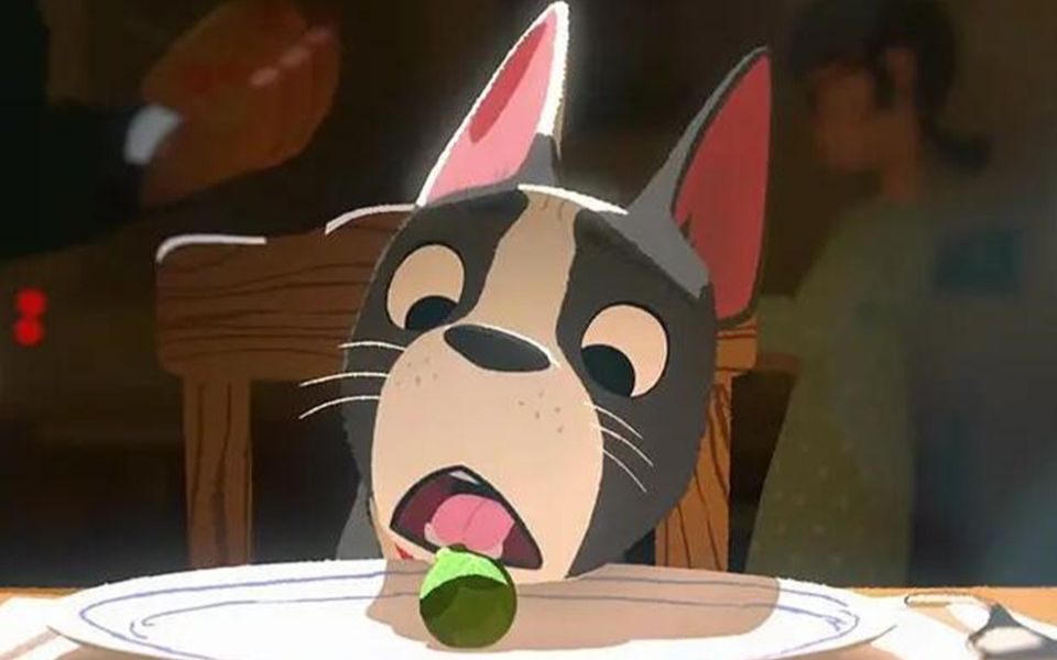 小狗整天只吃肉,当家里有了女主人后,它的生活被彻底改变!