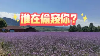 Download Video: 【粉丝投稿】谁在偷窥我？（不限时空）