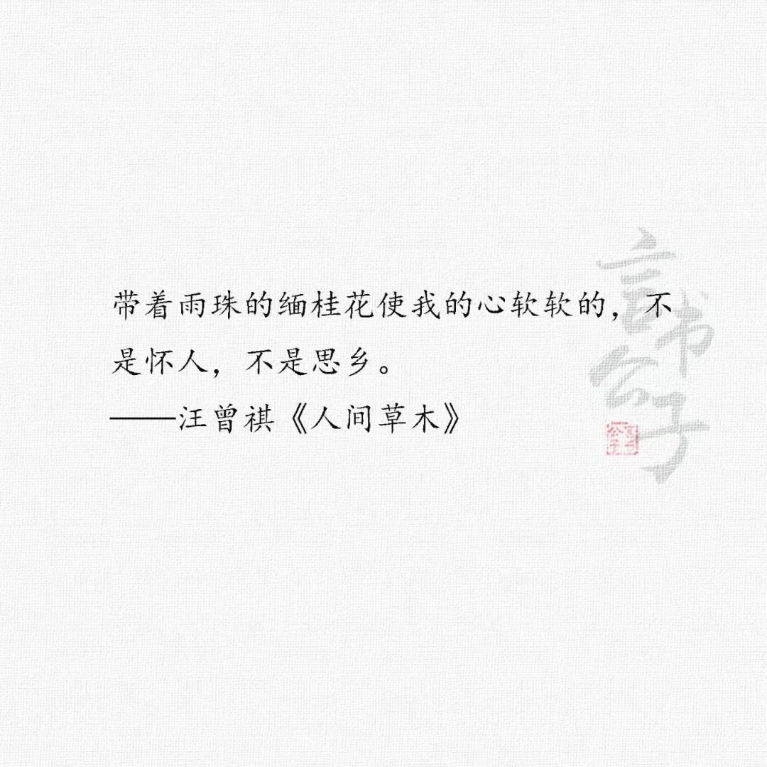 [图]#汪曾祺《人间草木》 #聂鲁达BGM：I still believe ~ため息~ (我始终相信 ~叹息~)