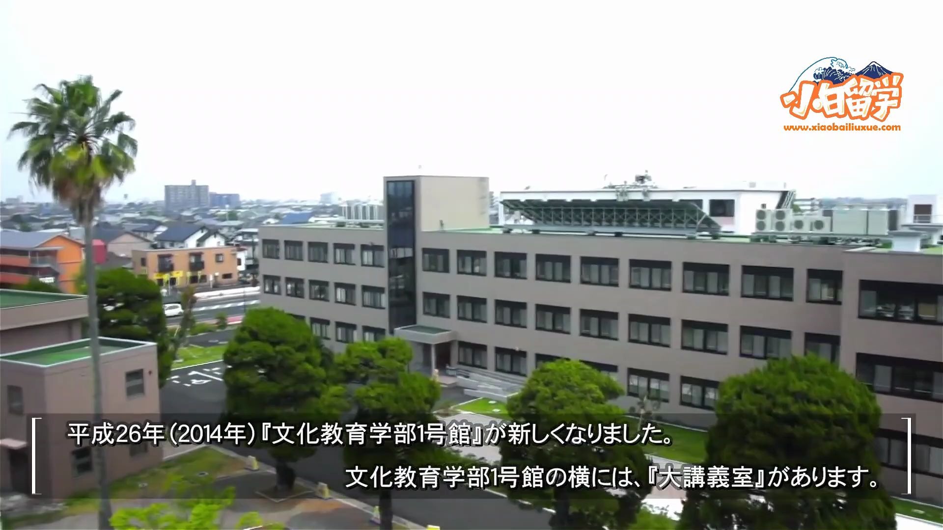 【日本大学介绍】佐贺大学哔哩哔哩bilibili