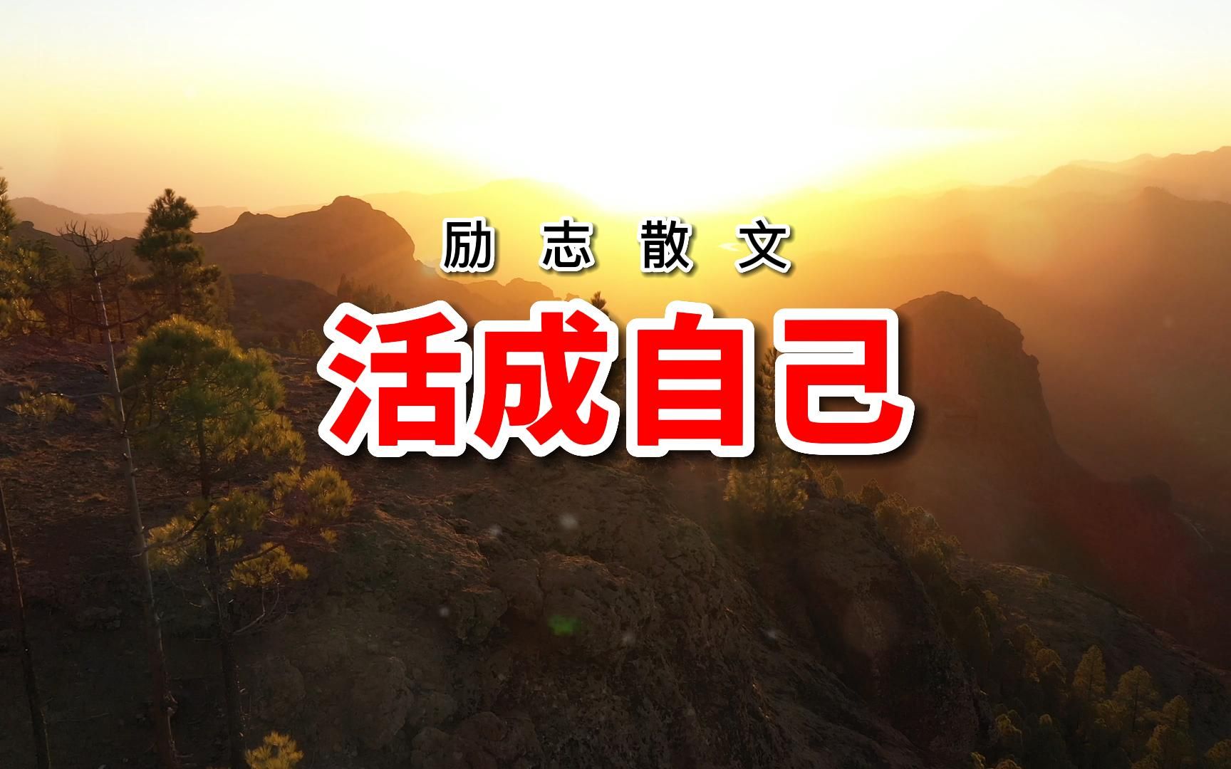 你该追求什么样的生活?这篇散文送你4个字,醍醐灌顶,励志!哔哩哔哩bilibili