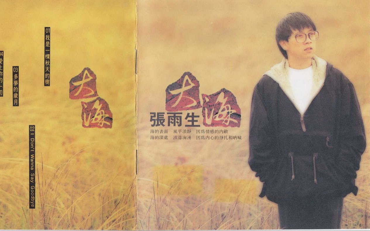 经典老歌《大海》张雨生 1992年出品 陈大力/陈秀男作曲 陈大力填词哔哩哔哩bilibili