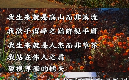 张桂梅校长,云南华坪女子高中教训,"我本是高山"鸡皮疙瘩起来了