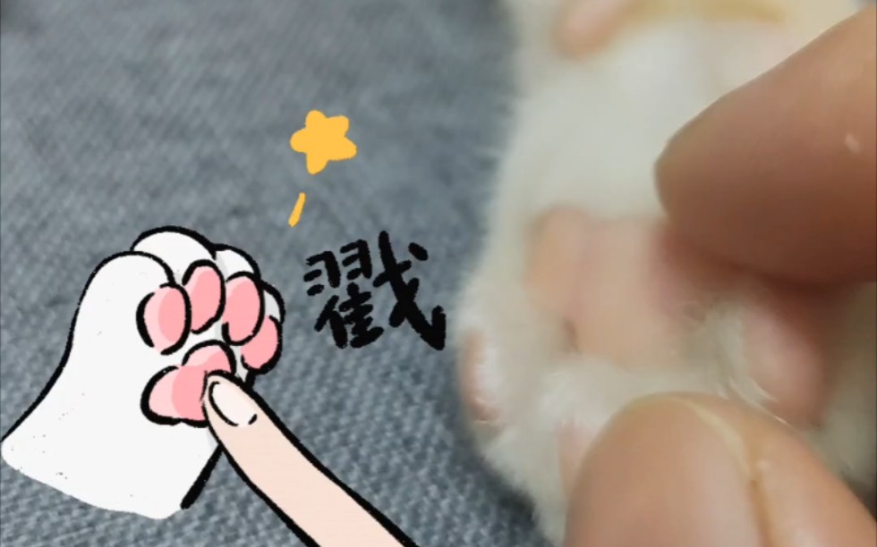 《解压神爪》戳戳手手_哔哩哔哩_bilibili