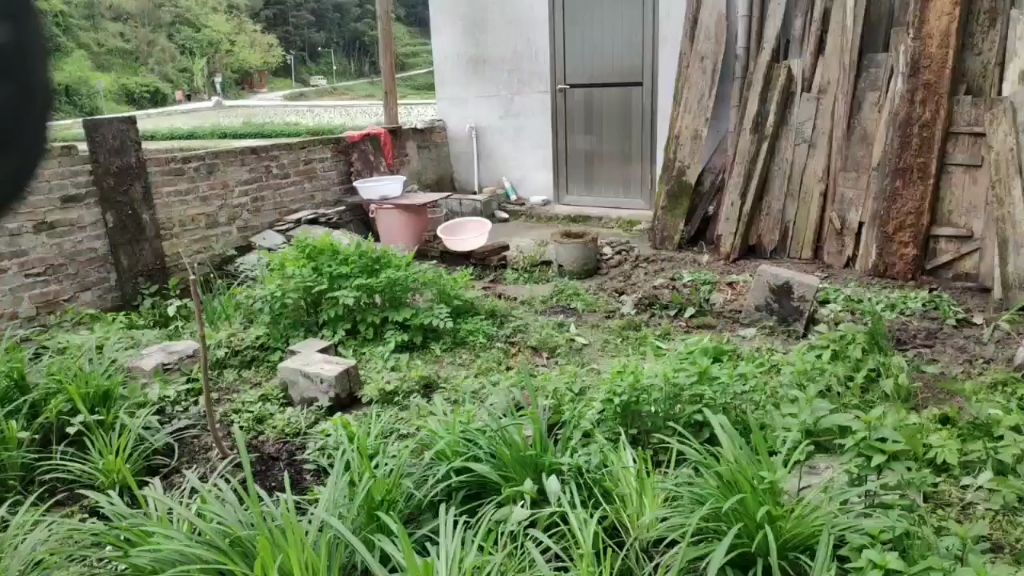 农村房子旁这么好的一块小菜地地,老爸竟然以后要把它用水泥填了,真