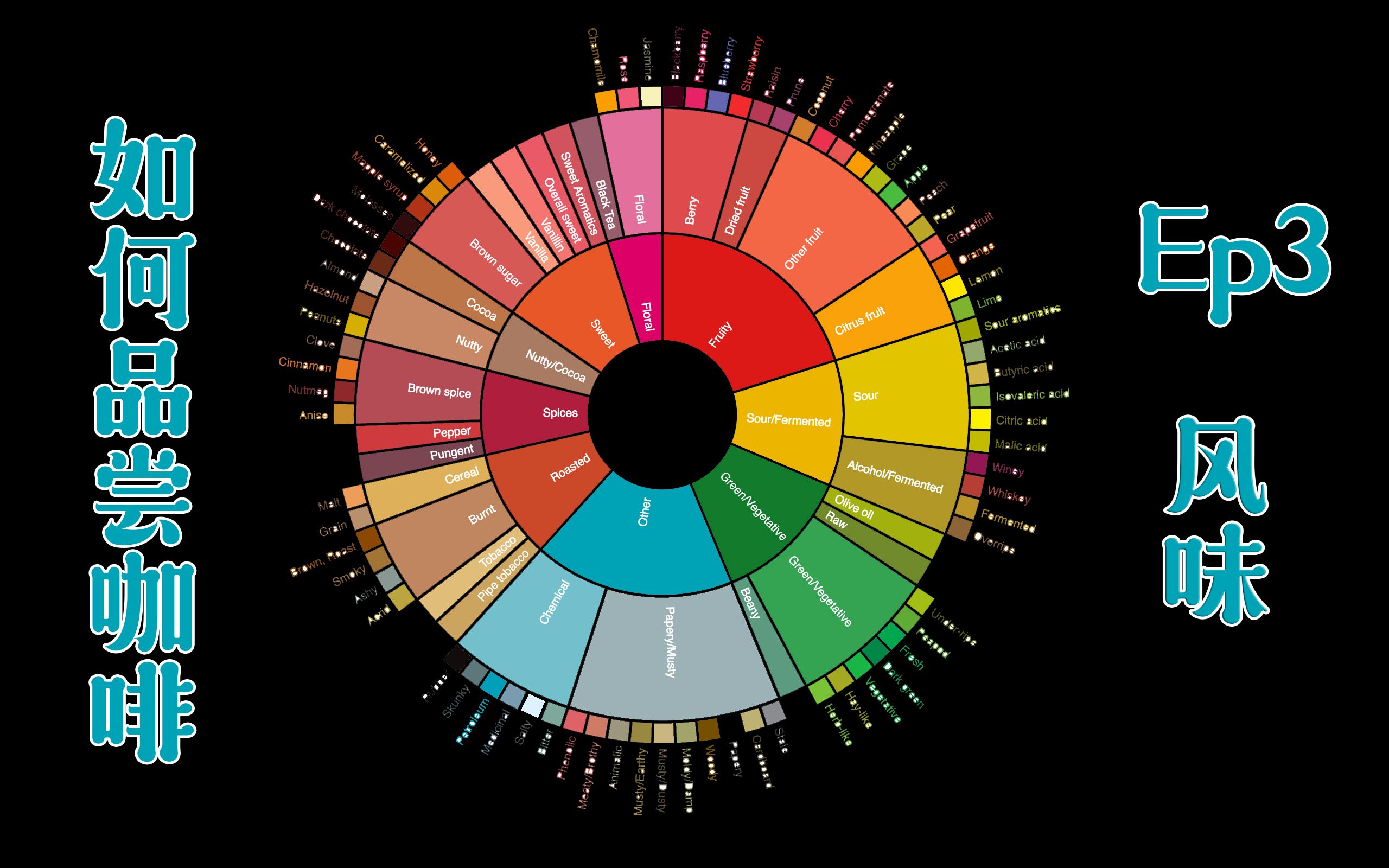 【如何品尝咖啡】ep3 风味