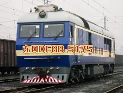 下载视频: 京九铁路:东风DF8B 5175牵引2519次货运列车外加3节TD33 8轴红长平板车